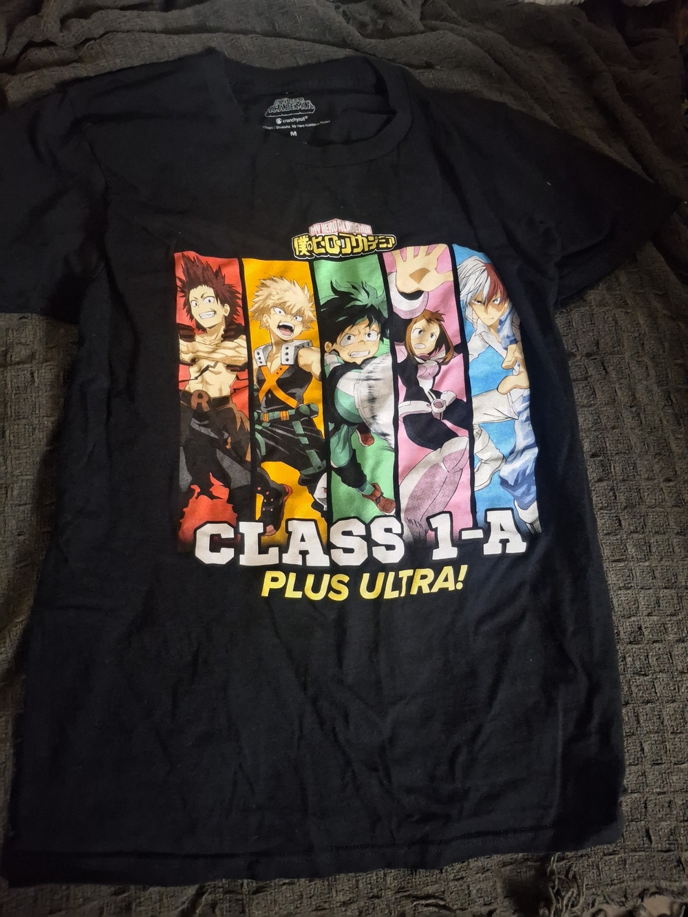 My Hero Academia Kids' Class 1-A Black Graphic Costume Tee - Plus Ultra!